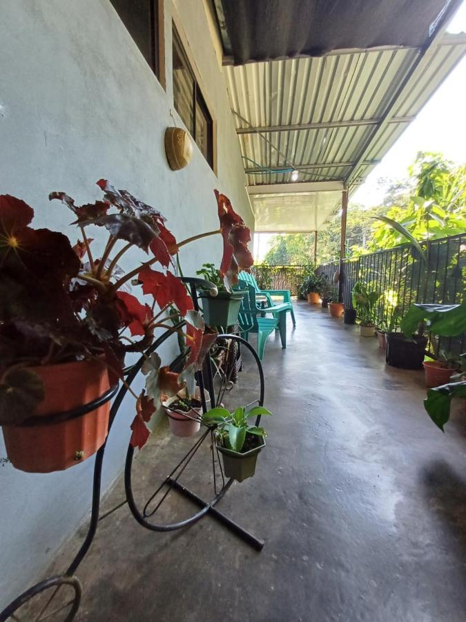 Monos Titi Third Floor Apartman Manuel Antonio Kültér fotó