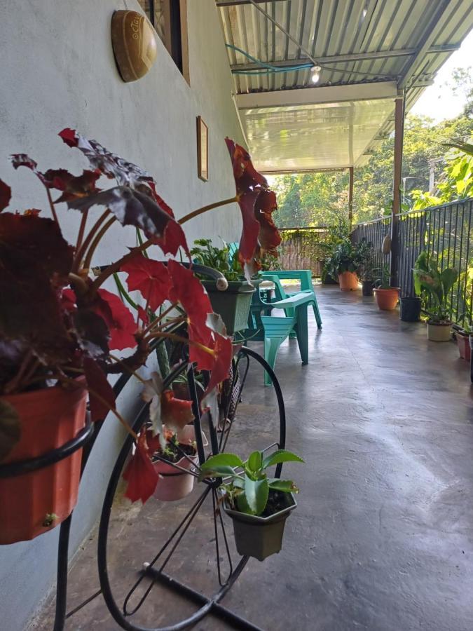 Monos Titi Third Floor Apartman Manuel Antonio Kültér fotó